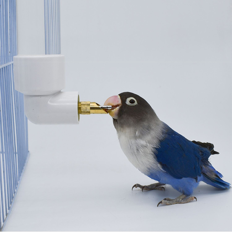 Plastic Parrot Drinker Water Bottle Dispenser Feeder Hanging Pet Dog Guinea Pig Squirrel Rabbit Drinking Head Pipe Fountain